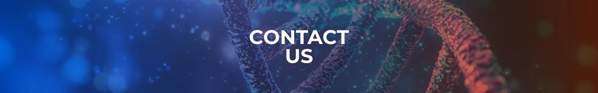 contact-us